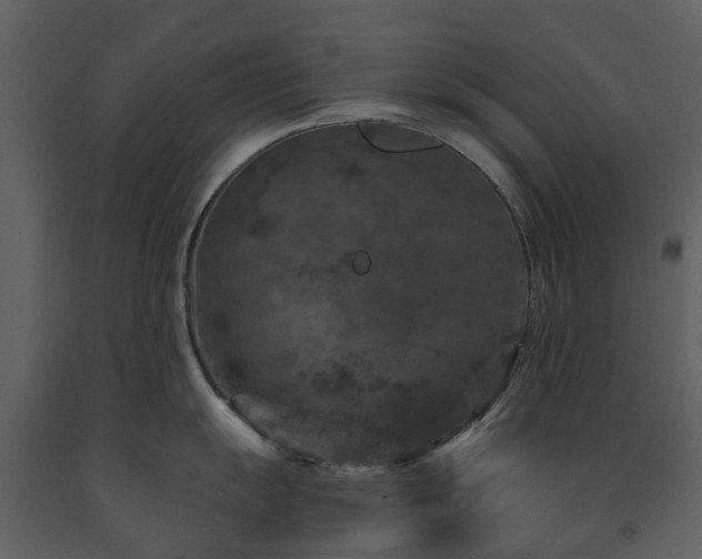 X0000091731055200708241408