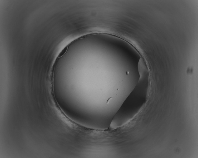 X0000091731056200708241408
