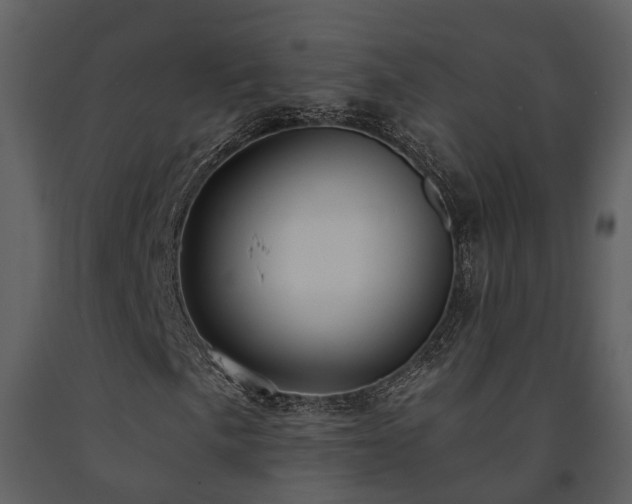 X0000091731057200708241407