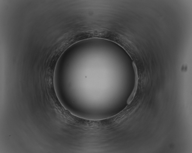 X0000091731058200708241407