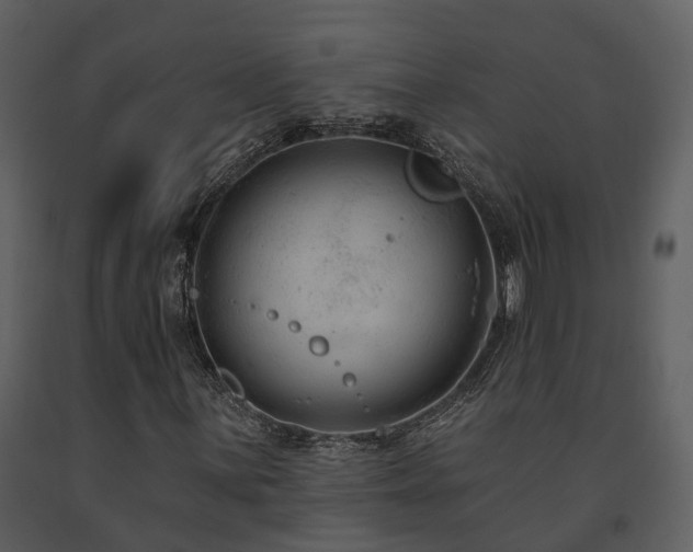 X0000091731059200708241407