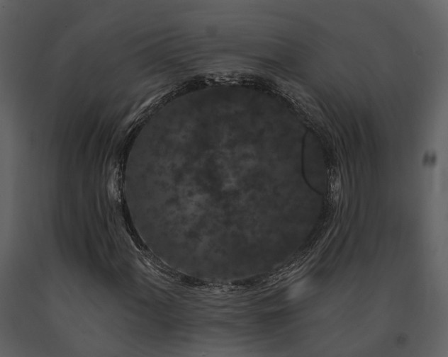 X0000091731060200708241407