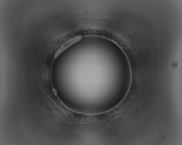 X0000091731061200708241407
