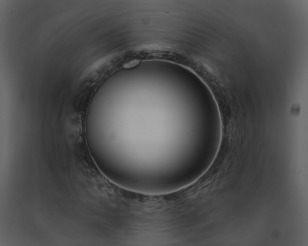X0000091731062200708241407