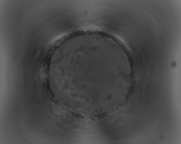 X0000091731063200708241407