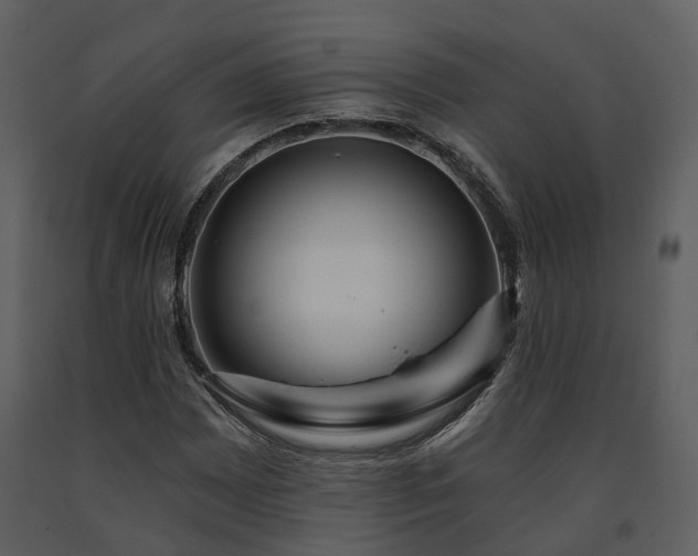 X0000091731065200708241407