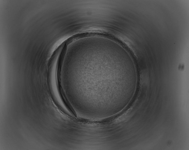 X0000091731066200708241407