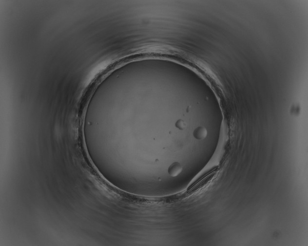 X0000091731067200708241407