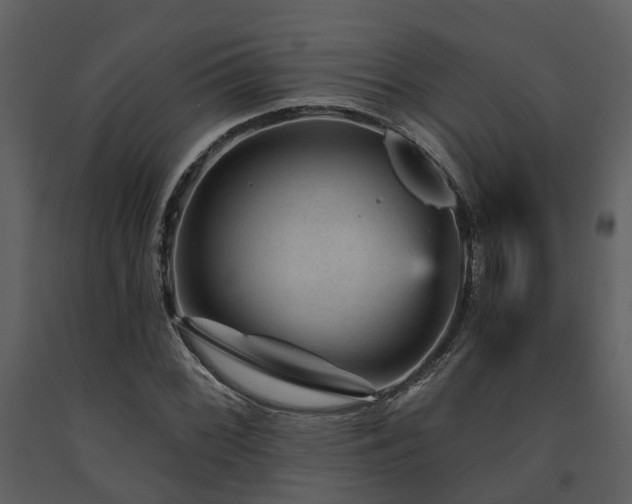 X0000091731068200708241407