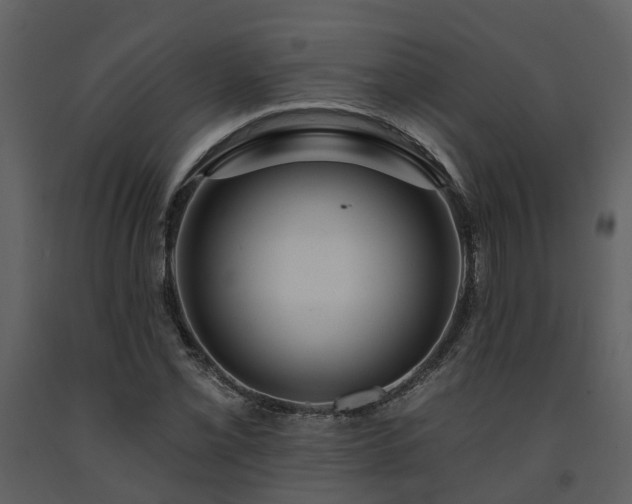 X0000091731069200708241407
