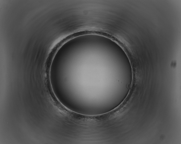 X0000091731070200708241407