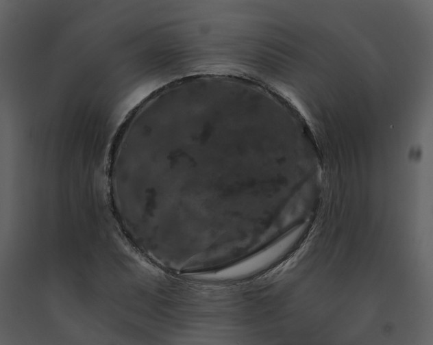 X0000091731071200708241407