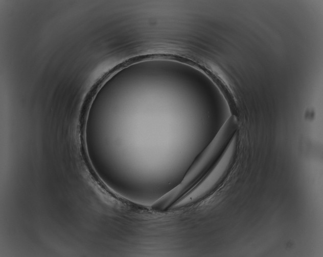 X0000091731072200708241407