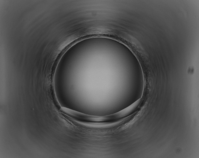X0000091731073200708241407