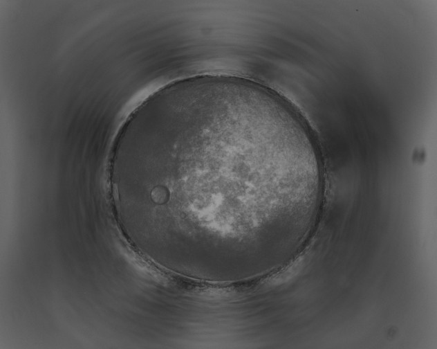 X0000091731074200708241407