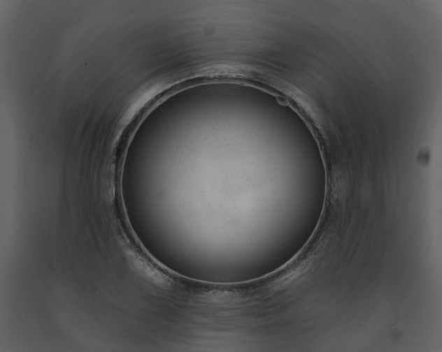 X0000091731075200708241407