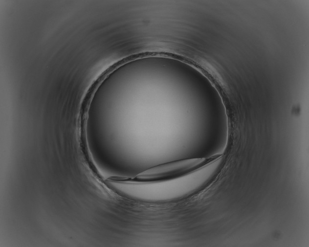 X0000091731076200708241407