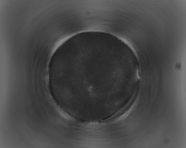 X0000091731077200708241407