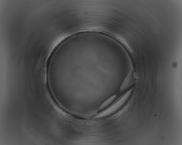 X0000091731079200708241407
