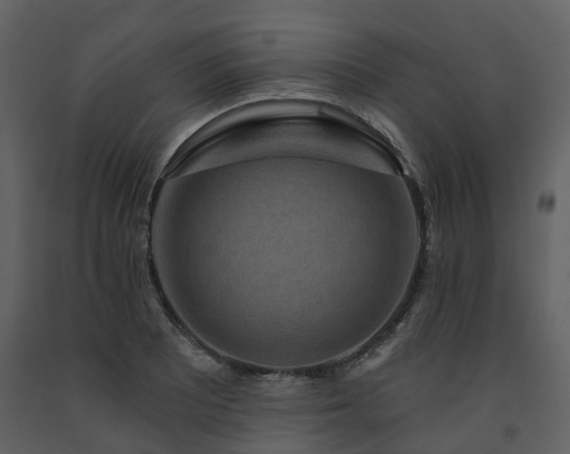 X0000091731081200708241407