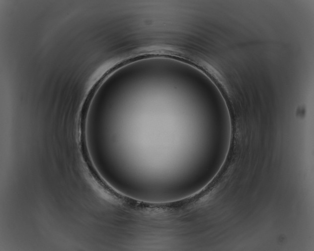 X0000091731082200708241407