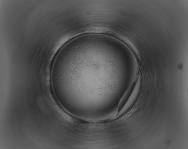 X0000091731083200708241407