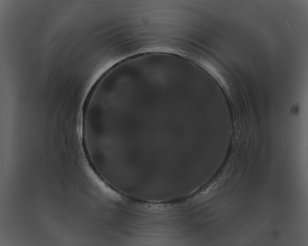 X0000091731084200708241407