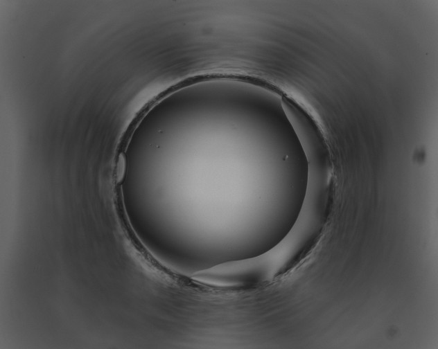 X0000091731085200708241407