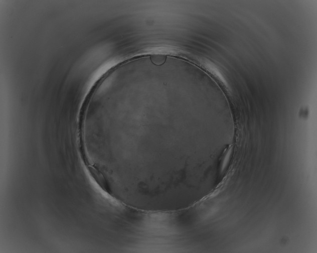 X0000091731087200708241407