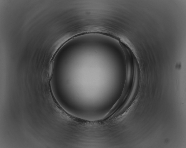X0000091731089200708241407