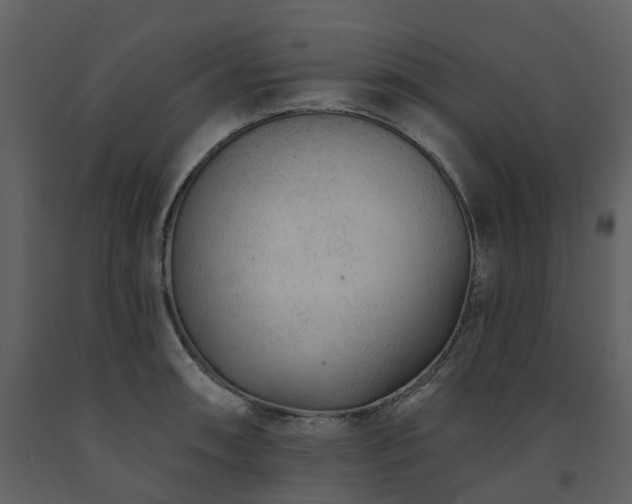 X0000091731090200708241407