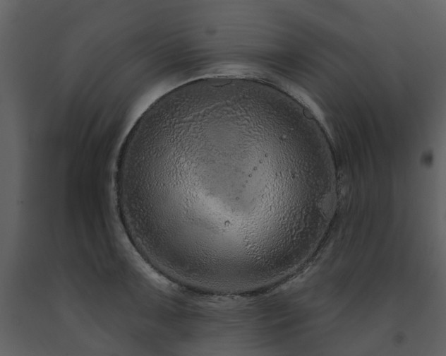 X0000091731091200708241407