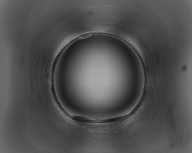 X0000091731093200708241407