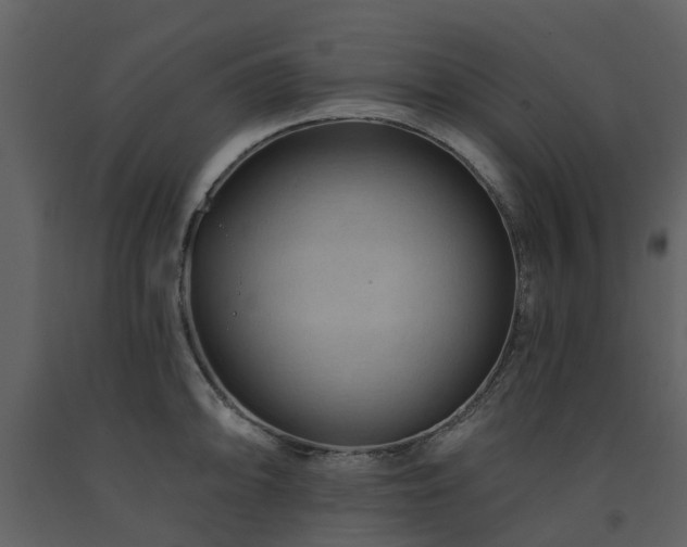 X0000091731094200708241407