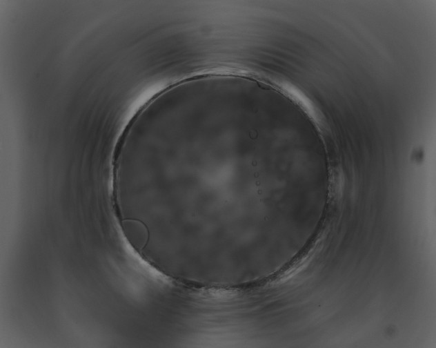 X0000091731095200708241407