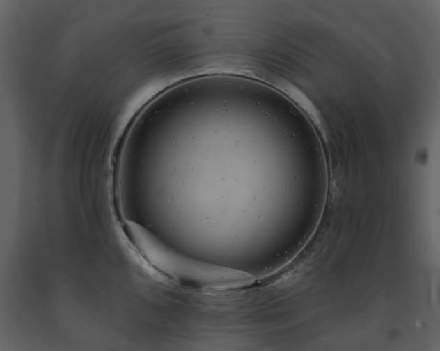 X0000091731096200708241407