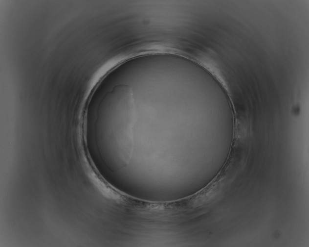 X0000091731098200708241407