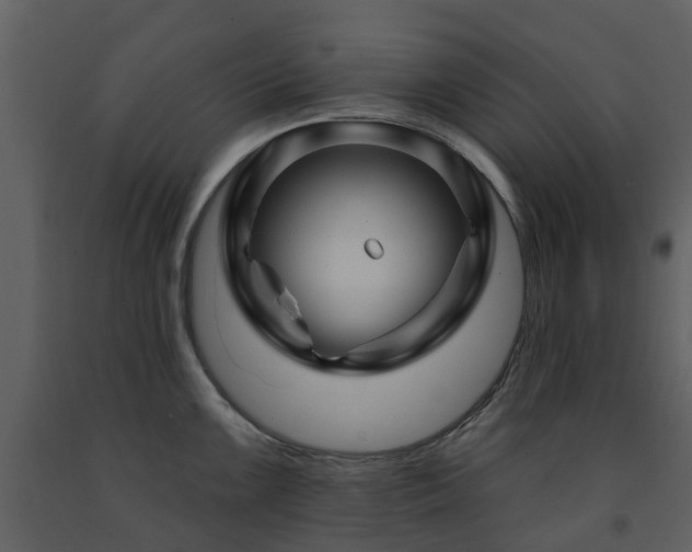 X0000091731099200708241407