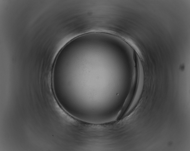X0000091731100200708241407