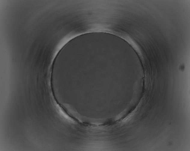 X0000091731102200708241407