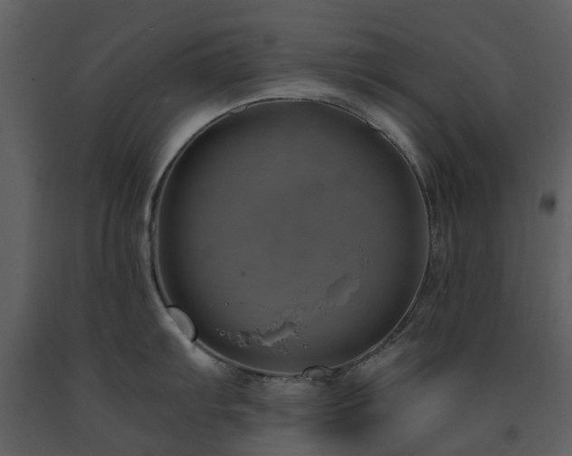 X0000091731103200708241407