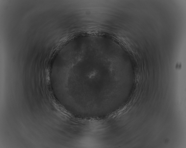 X0000091731106200708241406