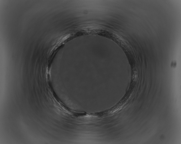X0000091731108200708241406