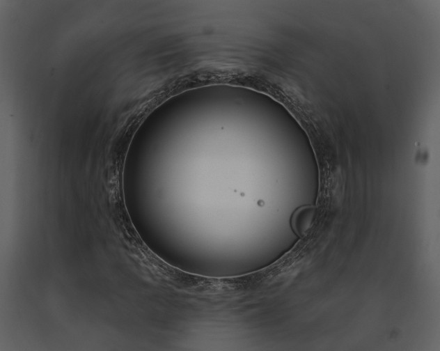 X0000091731109200708241406