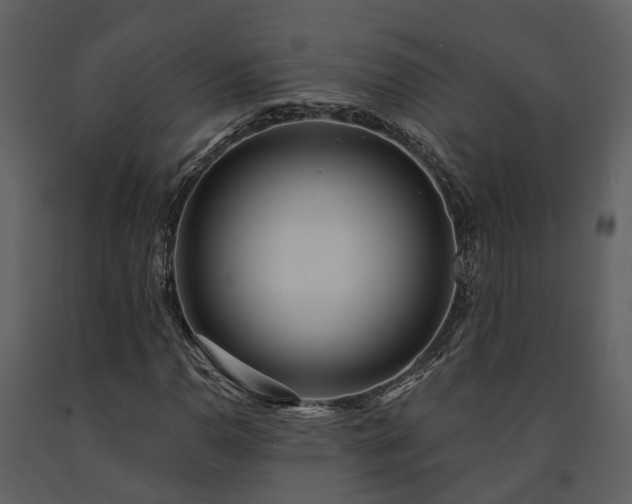 X0000091731110200708241406