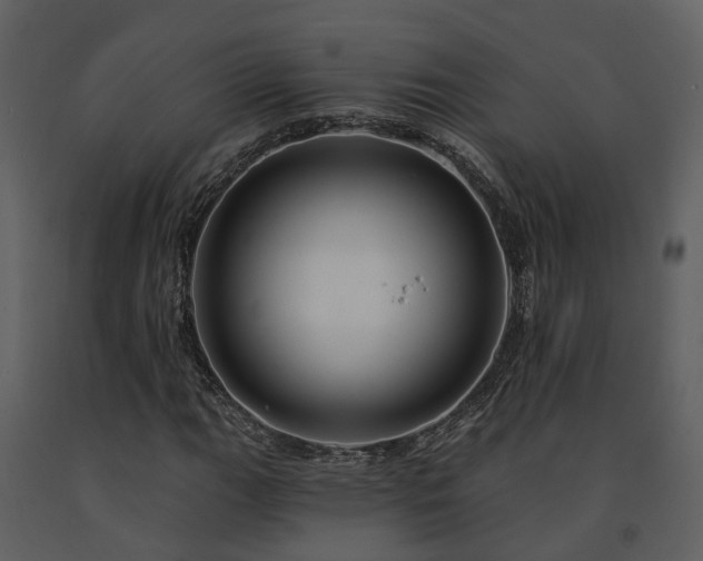 X0000091731111200708241406