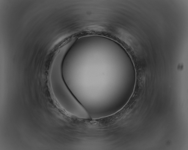 X0000091731112200708241406