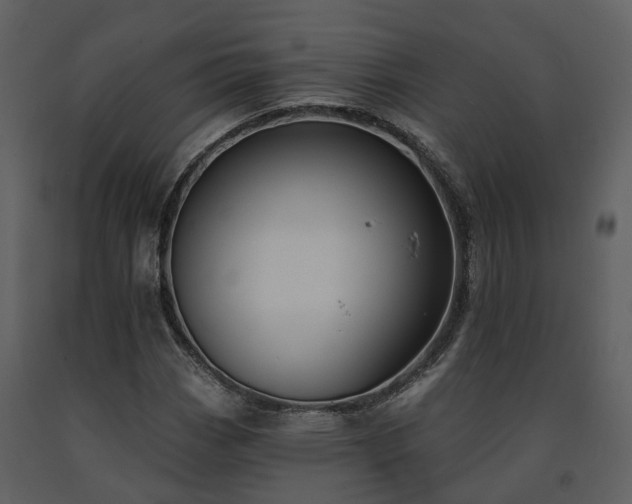 X0000091731113200708241406