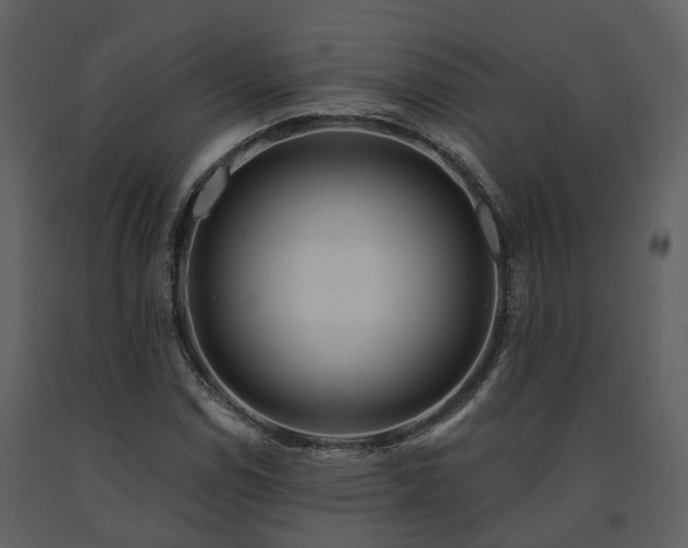 X0000091731114200708241406