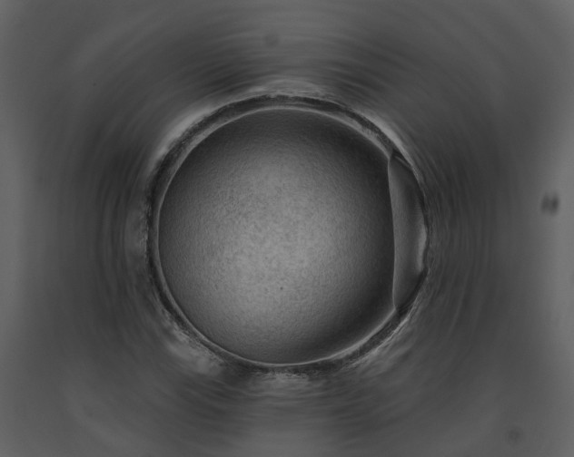 X0000091731115200708241406